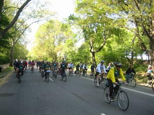 Everyone is leisurely riding in the park 