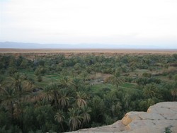 The valley around the Meski spring is verdant compared to the surrounding countryside, and dates grow in abundance