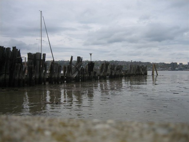 Picture 006
