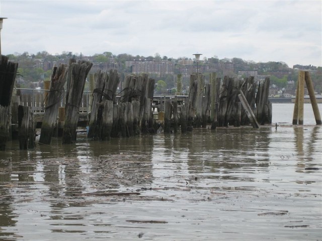Picture 007