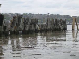 Picture 007