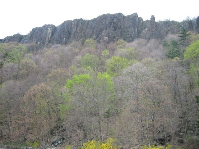 Looking up at the Palisades