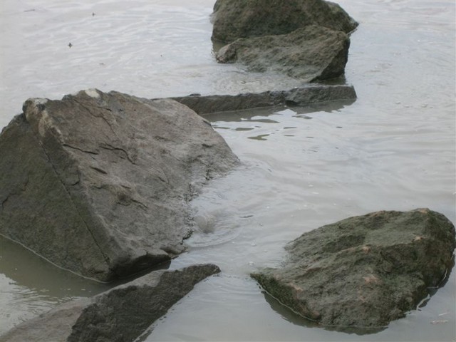 Picture 012