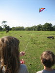 IMG_2733.JPG