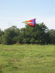 IMG_2736.JPG