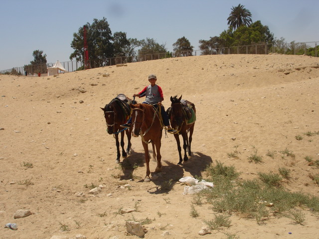 egypt morocco june 27 - july 13 2008 055.jpg