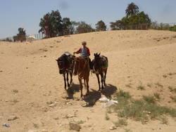 egypt morocco june 27 - july 13 2008 055.jpg