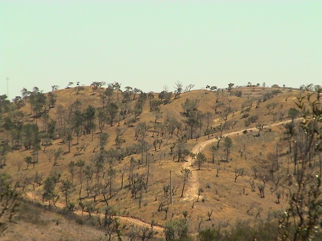 This is a bit of the sun-toasted Dr. Suess landscape in the countryside on the way south toward the Portugese coast.  I was always thirsty in these parts.  (7/2/04)