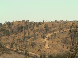 This is a bit of the sun-toasted Dr. Suess landscape in the countryside on the way south toward the Portugese coast.  I was always thirsty in these parts.  (7/2/04)