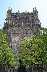 This is a Spanish house of worship in Sevilla that dominated the Santa Cruz barrio.  Sevilla knows holy; the cathedral was inspiring, the scent of incense was in the air, and music that sounded like a choir of angels could be heard.  The interior also held the tomb of Christopher Columbus along with other various relics.  (7/07/04)