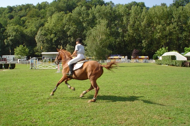 On my second day of cycling in France I ran across the French jumping nationals in a small town in the Pyrenees.  There was no entrance fee so I watched horses and riders clear different obstacles for a bit.  The course looked pretty exhausting.  (7/31/04)