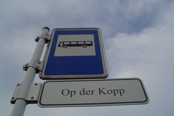 This Op was the grandest Op in the Duchy of Luxembourg, but with a reserved grandeur that would allow even the most common of citizens to feel quite at ease on its well-worn cobblestone lanes.  (8/12/04)