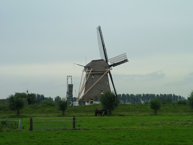 The photo journal would be incomplete without a photo of the Dutch windmill.  This one was located north of Utrecht.  After two days in Amsterdam I decided to venture onward, and to cycle south toward Germany.  South of Amsterdam the signposting on the cycle paths seemed to have been planted by the Mad Hatter, because they sent me in rather aimless directions.  I started ignoring them and following my watch compass, which seemed to work better.  (9/13/04)