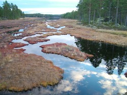 The Swedish lake land area also included wetlands, with the wetland grasses also turning fall colors and the dark swampy water again reflecting everything on its still surface.  I made the second tire replacement on the way (they seem to last a little over 4000 km each), and I am now in Stockholm, taking a couple of days of rest from riding.