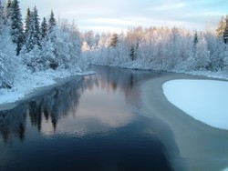 The landscape here in Finland is a winter wonderland, and Jack Frost has taken care of business in the fields, the trees, and any other exposed surface.  If you can believe it, there are over 180,000 lakes in Finland, and most of them that I have seen seem to be partly frozen this time of year.  This is definitely my favorite part of Scandanavia, and every minute is something new, beautiful or different.  This photo was taken on my way to Ranua, which is in Lappland.  I got a really sweet hostel room there - it was a cabin all to myself for a mere 17 Euros, and all that night I could see the snow falling down through the window.  (11-15-04)