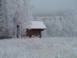 This rustic winter accommodation in northern Finland caught my eye on the snowy ride from Pudasj�rvi to Puolanka.  That day the temperatures dropped, and as I cycled onward through the white and silver landscape with my face frosting over like a freezer-burned slab of wheat gluten, my thoughts wandered to certain scenes of Dr. Zhivago.  You know, like when the White Army conscripted Omar Sharif and dragged him all over wintry mother Russia until the young Bolshevik (who looked like John Lennon in his Yellow Submarine days) nabbed him - or when with frozen mustache Omar smashes his way into an abandoned palatial estate with communist snow subsequently blowing through the shards of glass as he and his wife retreated to the ballroom.  What a performance - the whole time with the skin around his eyes taped back to make him look more slavic.  But that is not Finland . . . and although I was later tempted - as you will see in the next frame - I did not smash my way into any abandoned Finnish dwellings, primitive or palatial.  (11-17-04)