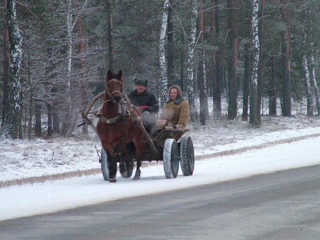 Outside of the cities the agrarian life does not seem to incorporate much technology - with the exception of car tires attached to horse-drawn carts - and also seems quite a bit poorer.  There were lots of horse drawn carts that I saw on the national motorway from Babrujsk to Homel, with some unfriendly truck drivers blasting their horns at them. (12-21-04)

