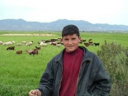 As I was photographing a herd of Cypriot long hair goats that were munching on fields of grass that were, in this run-on, backdropped by the coastal range, this young shephard approached.  This was his well-to-do herd that he had let out to pasture for some munch time.  I was on the Turkish side on the way from Lefkosia/Lefkosa, to Famugusta, on the eastern coast of the island.  There I met a really nice Belgian/Basque couple who had started their trip roughly the same time as me and happened to be in Famagusta the same time.  (3/5/05)
