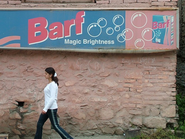 This sign made me laugh as I was cycling out of Seki.  Barf laundry detergent comes in a nose-pleasing lemon scent, and as you can see, cleans with a magic brightening power.  It would be more fun to see a Television ad urging viewers to wash their clothes in barf.  (5-19-05)