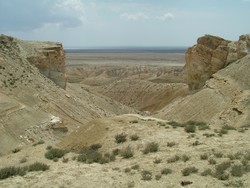 Riding from sea level up to the Ustyurt plateau was scenic, like something from Nevada, with desert scrub, wierd rock formations, and a vast expanse of depopulated dirt.  (6-03-05)