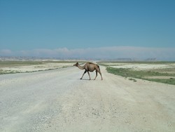 Highlight for Album: KAZAKHSTAN