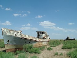 But as the Kruschev-ordered cotton-growing campaign progressed and waters from the feeding rivers from the Tian Shan mountains were channeled to irrigation canals that Moscow had scraped across the lifeless deserts of Turkmenistan and Uzbekistan, the Aral Sea began to vanish - a result that the planners had known from the outset to be a necessary consequence of their grand socialist designs to render the desert into cotton crop land.  As the waters dwindled and receded, and Moynac's time as a seafaring town approached its last quarter, one wonders what went through the minds of the Moynacians.  It must have been unfathomable and debilitating shock, because boats, trawlers and all manner of fishing vessels simply were left stranded in the now bone-dry declivity that once formed the harbor waters of Moynac's Aral Sea port.  It was odd watching cattle saunter with a bovine languor amongst the mummified vessels now forever twined with the dull monochrome of the dusty seabed, sepulchral in their abandonment.  (6-10-05)