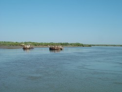 After dinner and the compulsory vodka toasts, my host inquired through pantomimic expression as to whether I needed a shower.  But in fact, after piling in the truck with his sons, I realized we would be bathing in the nearby waters of the Amu Darya - a river that runs along the Uzbekistan/Turkmenistan border.  While the shampoo and soap were making their rounds, I unknowingly was making the acquaintance of some wretched form of parasitic river life that inexplicably found my left pinky toe an attractive target.  Had I known that those glittering currents were attended by such hidden perils and unnamed dangers I frankly would have been apt to foreswear the evening's ablutions.  The remainder of the evening was spent lying on cushions watching the "Hulk" dubbed into Russian on the home theater system.

The next morning's breakfast consisted of boiling bovine milk and cream with chunks of bread for dipping.  But after the previous night's ill-advised swim in the waters of the Amu Darya, I noticed that my toe had begun to turn unnatural and alarming shades of purple, and that there was blistering in the vicinity of a circular brown mark (what I gather was the entry point for the organism now feeding on me).  All this, just as my health insurance was set to expire.  I took a high resolution photo (far too disturbing to post) so that I will be able to show my doctor the cause of any subsequent ailments or complications should any develop (i.e. organ or brain failure and the like).  (6-12-05)