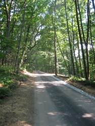 Van Cordlandt trails