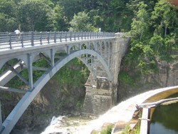 Croton 010