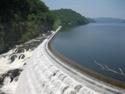 Croton 012