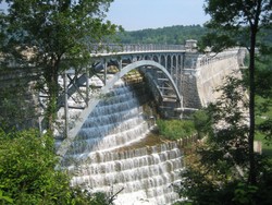 Croton 014