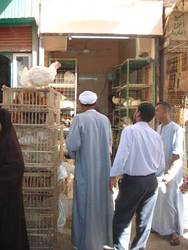 Luxor market