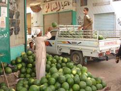 Jim's job is to make sure we always have plenty of watermelons.
