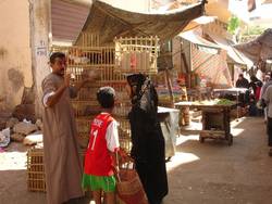 Luxor Market