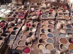 More tannery pics
