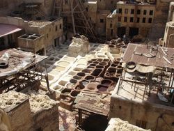 The famous tanneries